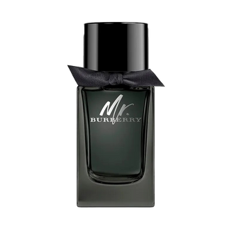 Mr. Burberry  EDP Spray